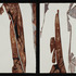 20110302085644-positive