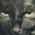20110302091823-unmet_friend_1531