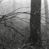 20110302134330-0878020-r1-e007