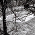20110302134704-evans45-r1-e007