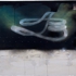 Oroborus