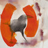 20110303040607-crow_with_orange_kenneth_hayden
