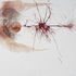 20110303040853-hayden_spirit_flight