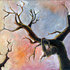 20110303174049-intothetrees_rwaites