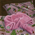 20110304113038-bedbug