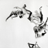 20110305070612-image3