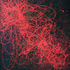 20110305071432-picture_084