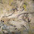 20110305193013-wind_blows