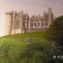 20110725140447-steve_s_painting_portfolio_2011_062