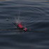 20110307024251-hale_tenger__balloons_on_the_sea__single_channel_video_still__2011