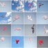20110307134331-collages54