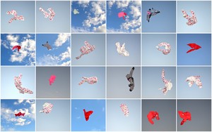 20110307134331-collages54