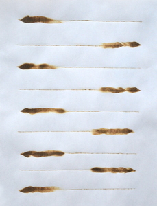 20110307140644-art_11_2_80