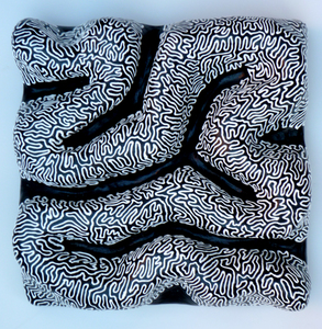 20110307172724-whtonblk3d12x12