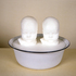 20110307233447-twins_in_bowl_2001