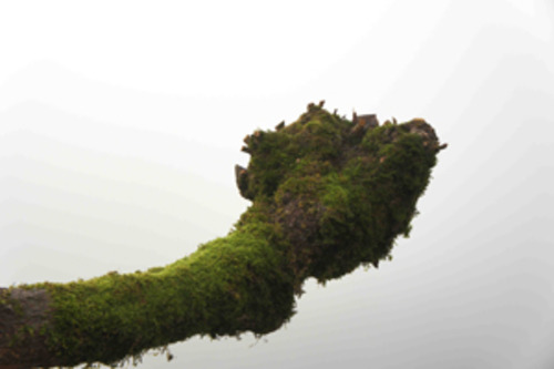 20110309092725-branchmailing
