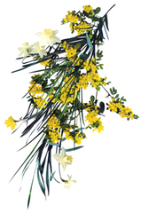 Yellow Flower,Stephen Eichorn