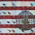20110308180859-bird_feeder