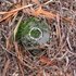 20110308214252-white_ring2
