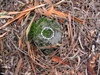 20110308214252-white_ring2