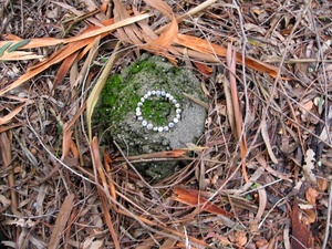 20110308214252-white_ring2
