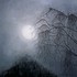 20110309061507-morning_dew_in_ten