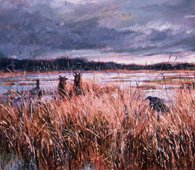 Reed beds,Roy Rodgers