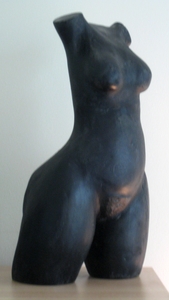 20110309071407-torso_017