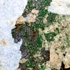 20110309072246-6__dsc01976_