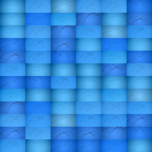 20110309075325-collages57