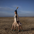 20110309144154-menlibayeva_2011web_centaur