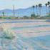 20110309172718-adickson_lateafternoon72dpi