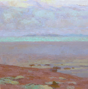 20110309173141-salton_sea__haze