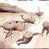Solarwhaling