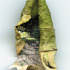 20110310081950-roy_lagrone_balm