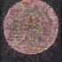 Fourthportal_tongue_ag72dpi