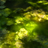 20110311202720-low-flow