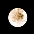 20110312124138-img_5970