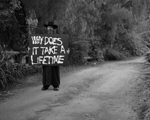  Why Does It Take a Lifetime,Mitchell Syrop