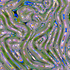 20110313101125-euphoric_tango