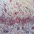 20110317114642-levity__red_circles1000x
