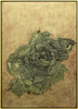 20110313183859-su_zhiguang_1_big