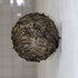 20110314045212-4d-pix-8