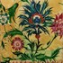 20110314061509-cropped_turkish_3