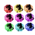 Biggie_rainbow2_copy