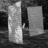 20110314132837-art_0039-1
