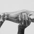 20110314212800-catch_of_the_day_2-28-09