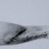 20110314220006-within_reach