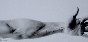 20110314220006-within_reach