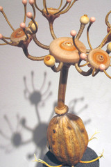 Flinderspindle,Renee Adams